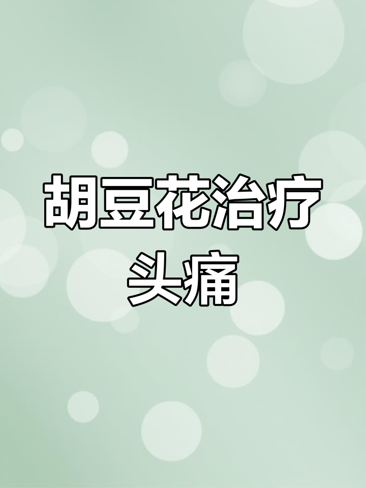 听说胡豆花能治头痛,今晚试试效果!