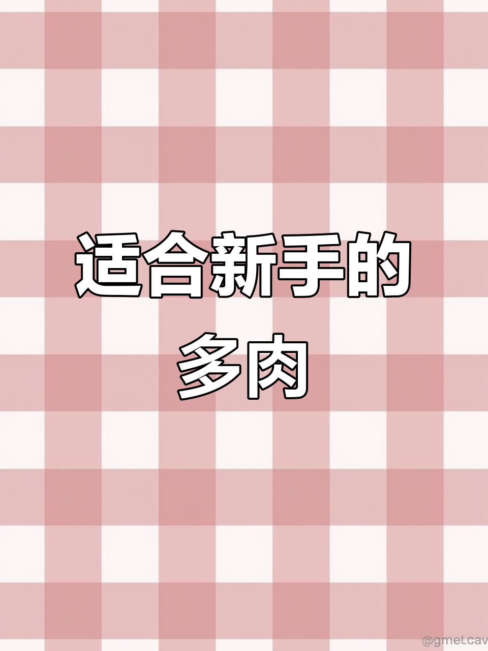 新手必养不死多肉植物,三种超耐养的品种推荐