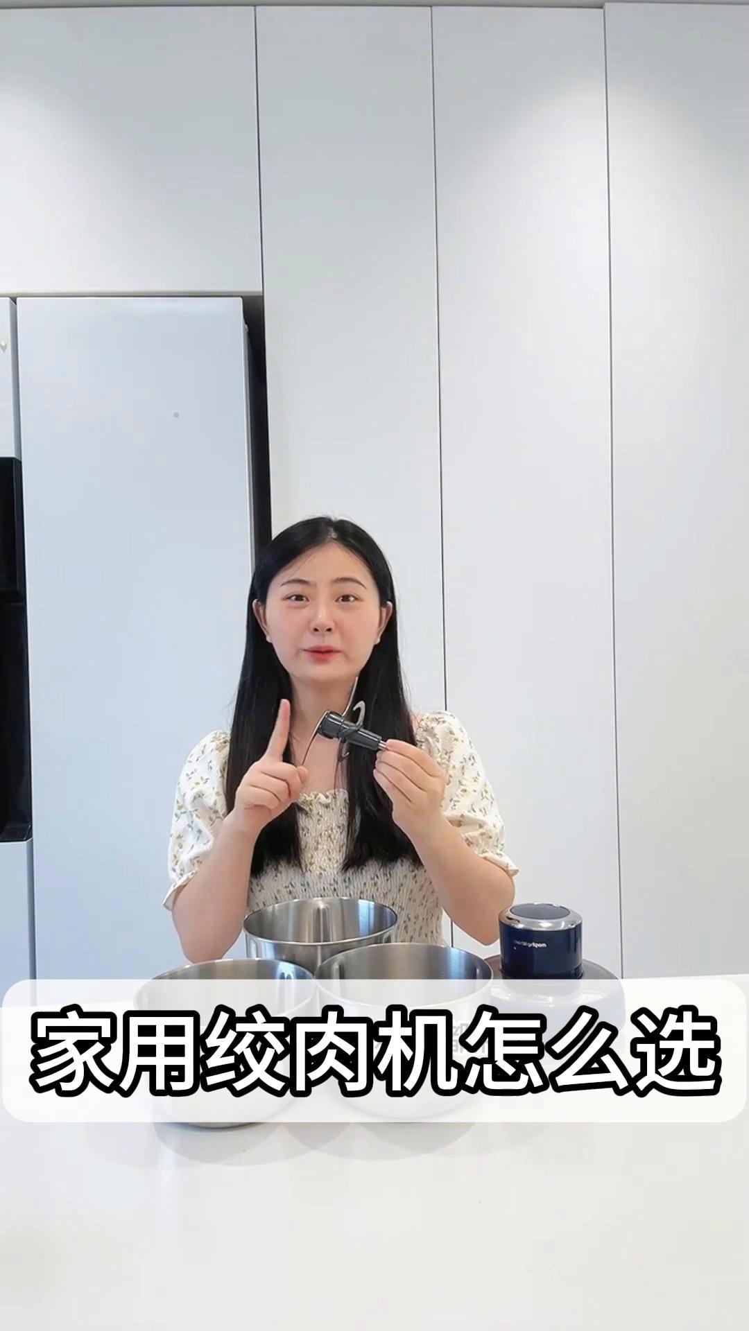 家用绞肉机怎么选