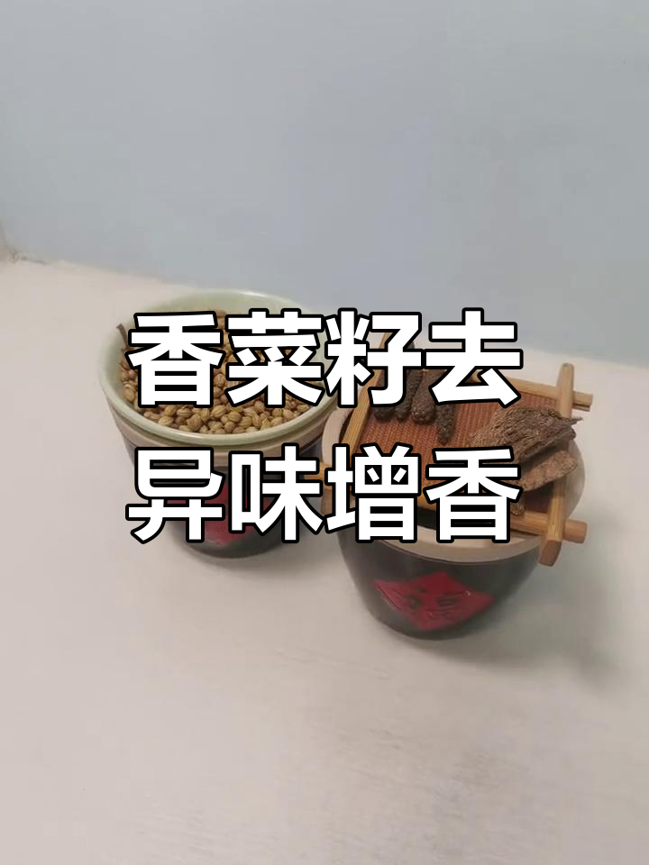 香菜籽的香气秘密:如何提升卤肉层次感