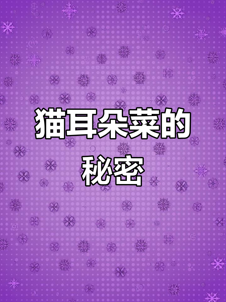 猫耳朵菜,别名葶苈子,花期三至四月