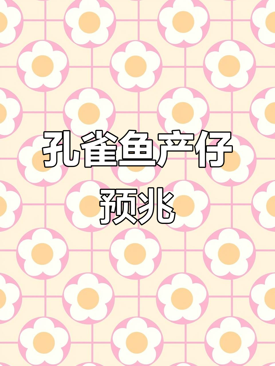 孔雀鱼即将生产,如何判断它们何时下崽?