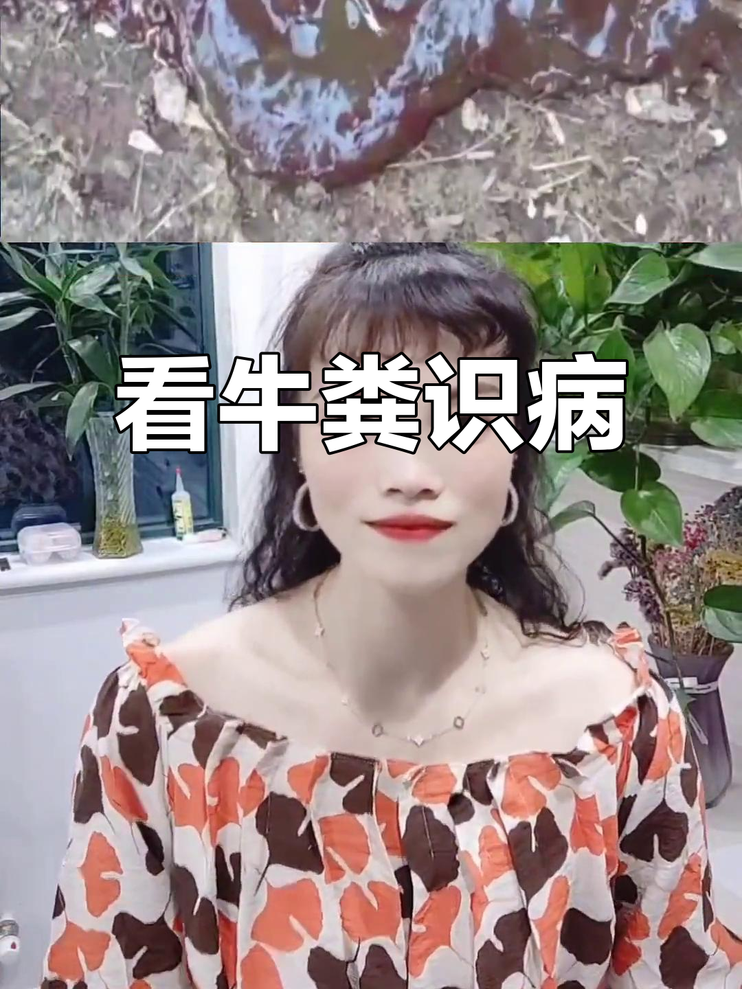 牛粪便颜色变化揭示疾病,如何应对不同症状