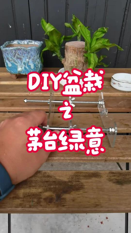 “茅台绿意:DIY创意盆栽” 在这个视频中,我们将展示如何利用茅台酒瓶制作一个独特的多肉植