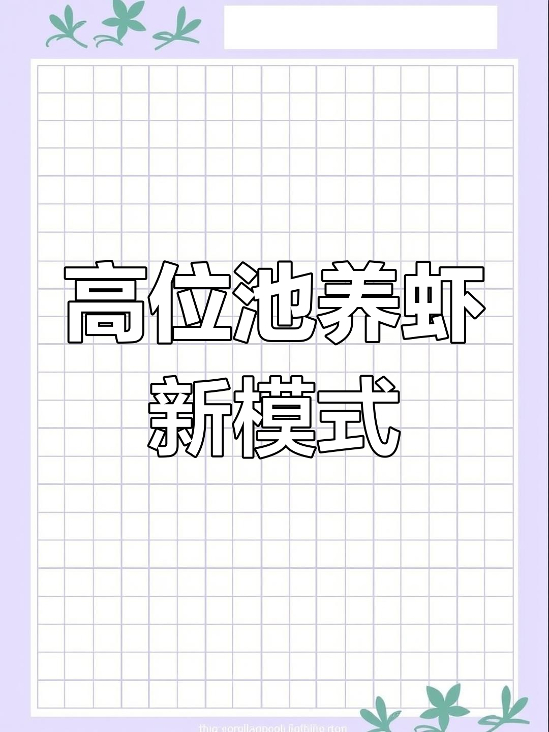 虾菜共生系统助力高位池养殖,环保又高效