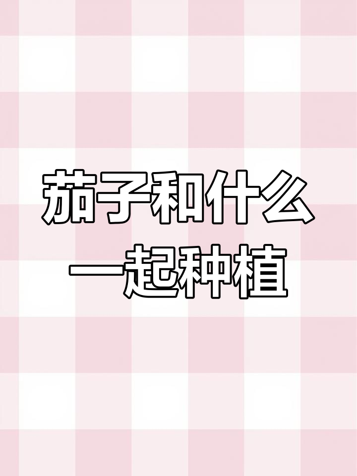 茄子与哪些蔬菜套种更合适?叶菜、葱蒜和毛豆都是好选择