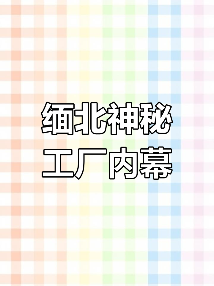 被拐到缅北的恐怖工厂,活体肉莲的悲惨命运