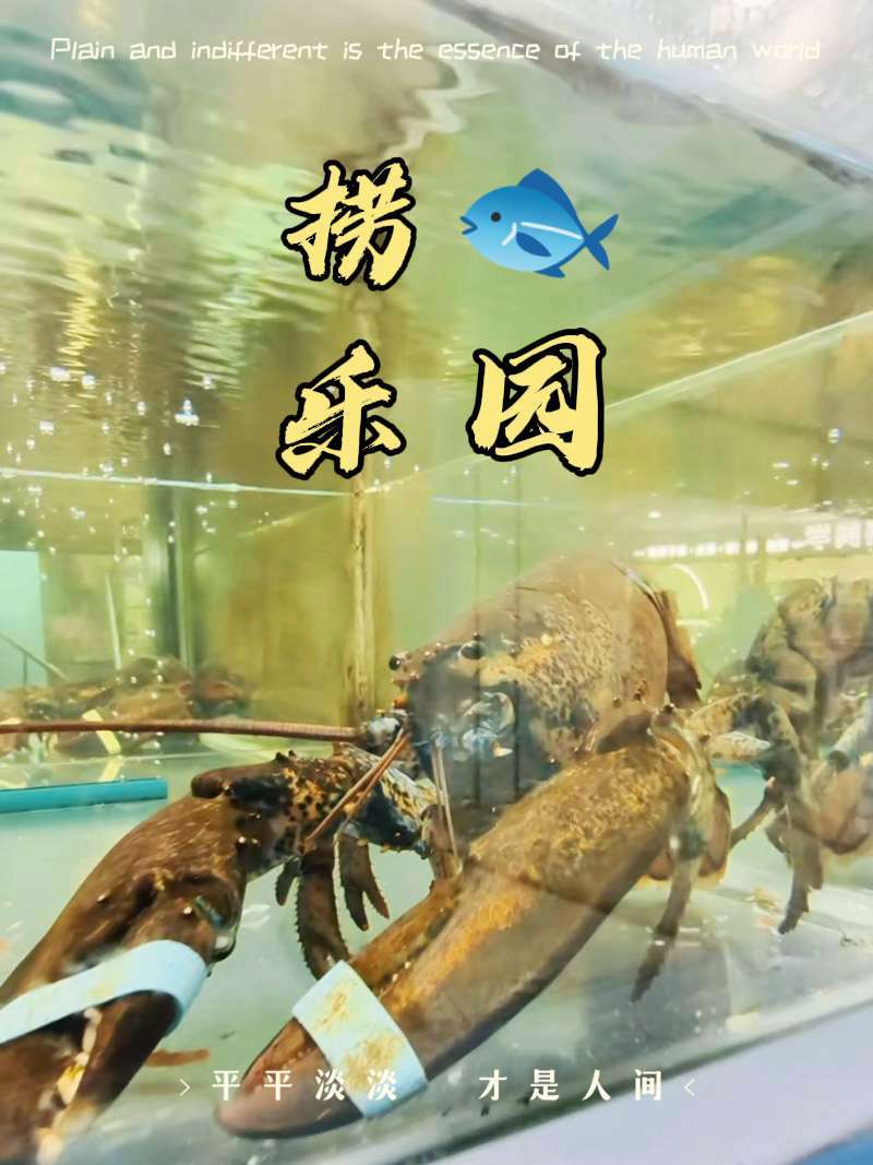 29.9可以兑换一下午的亲子快乐 双湖广场发现了一家捞鱼乐园水族娱乐馆,大人小孩都能玩得超