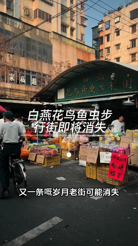 陪伴佛山街坊 30载嘅花鸟鱼虫市场步行街即将消失,近日有消息话喺4月10号前花鸟鱼虫市场嘅