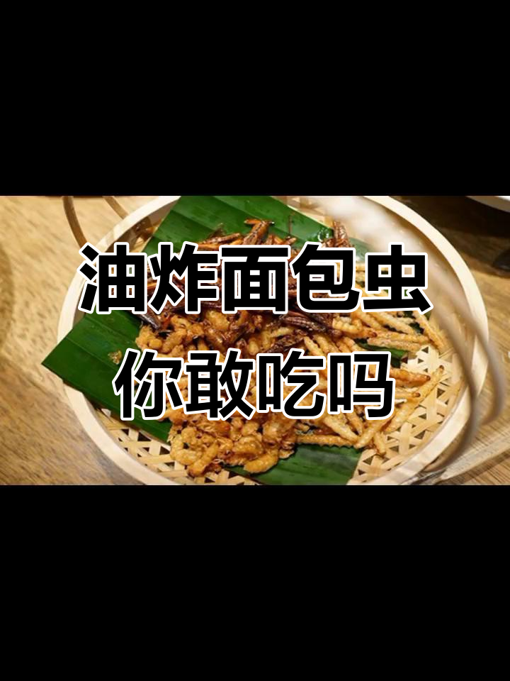 敢挑战油炸面包虫吗？报名参加，胆战心惊！