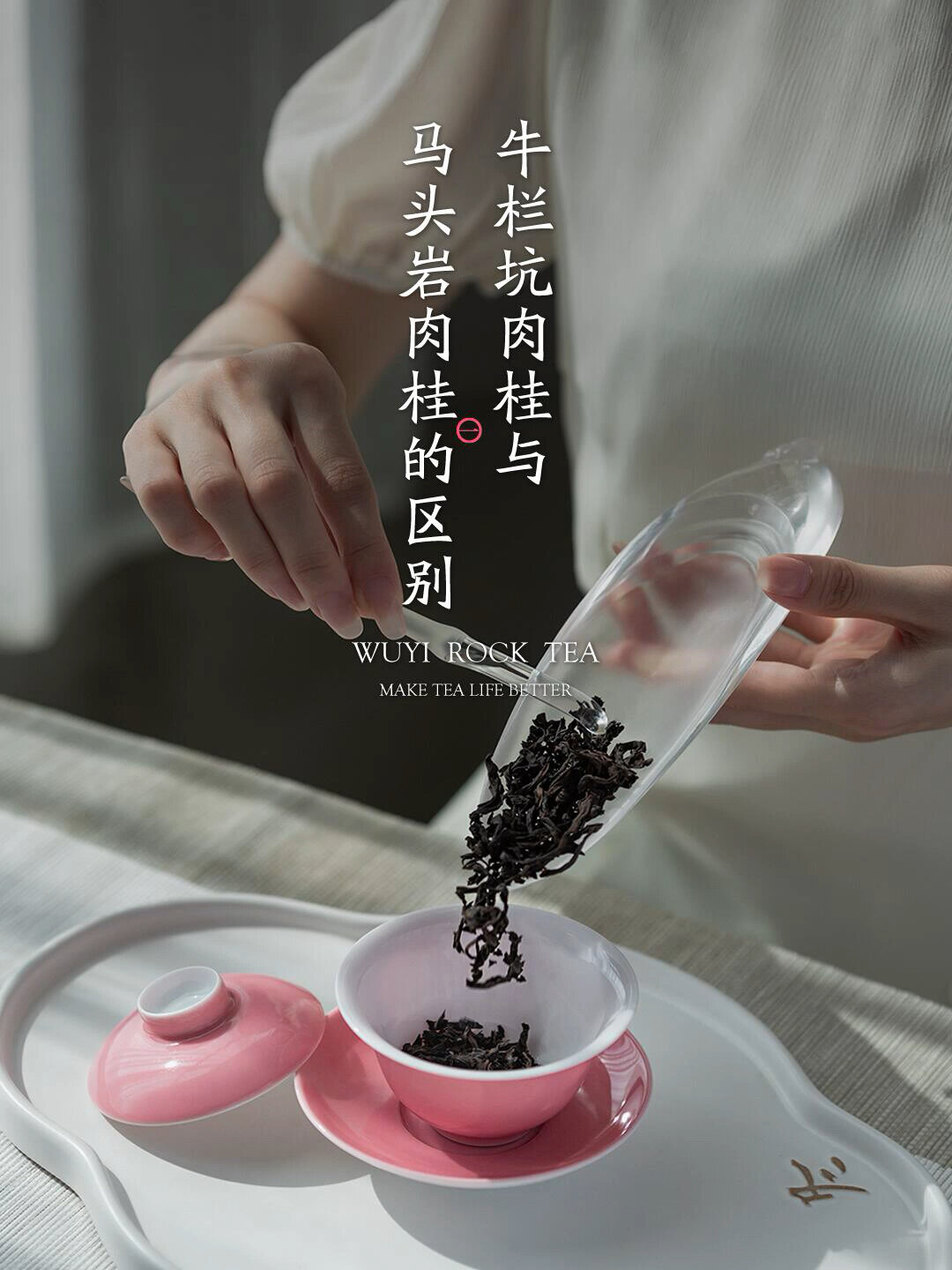 马头岩肉桂|你喝过“马肉”吗?