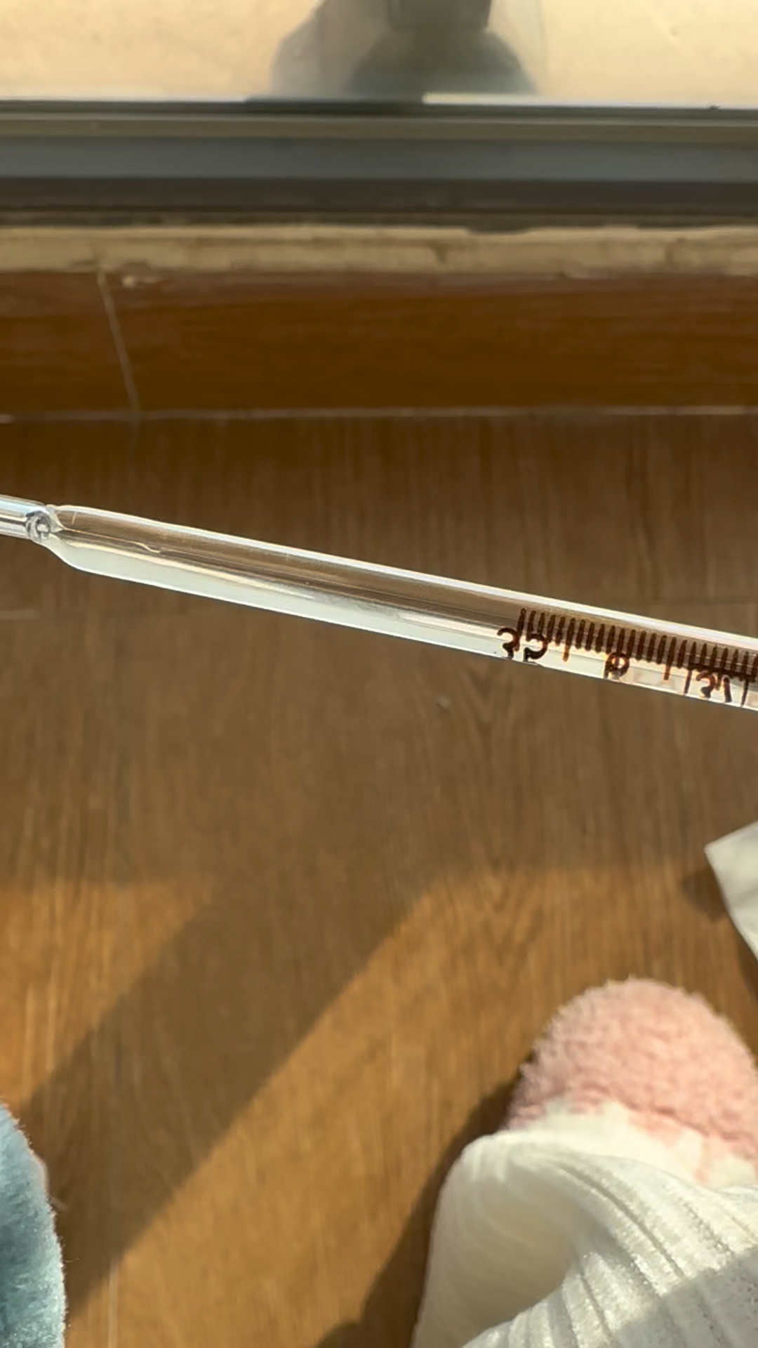 终于学会看水银体温计了!