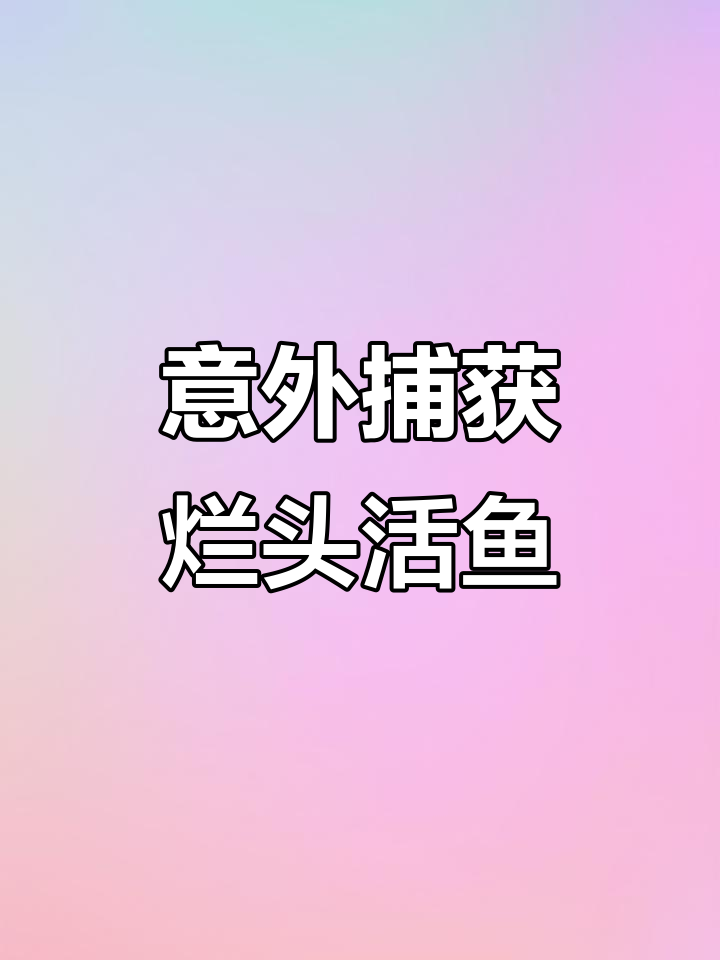 真实户外捕鱼,竟然捞到一条烂头活鱼!