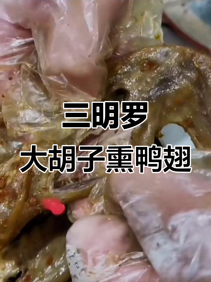 罗大胡子熏鸭翅,三明特产香辣卤味零食,真空小包装超方便