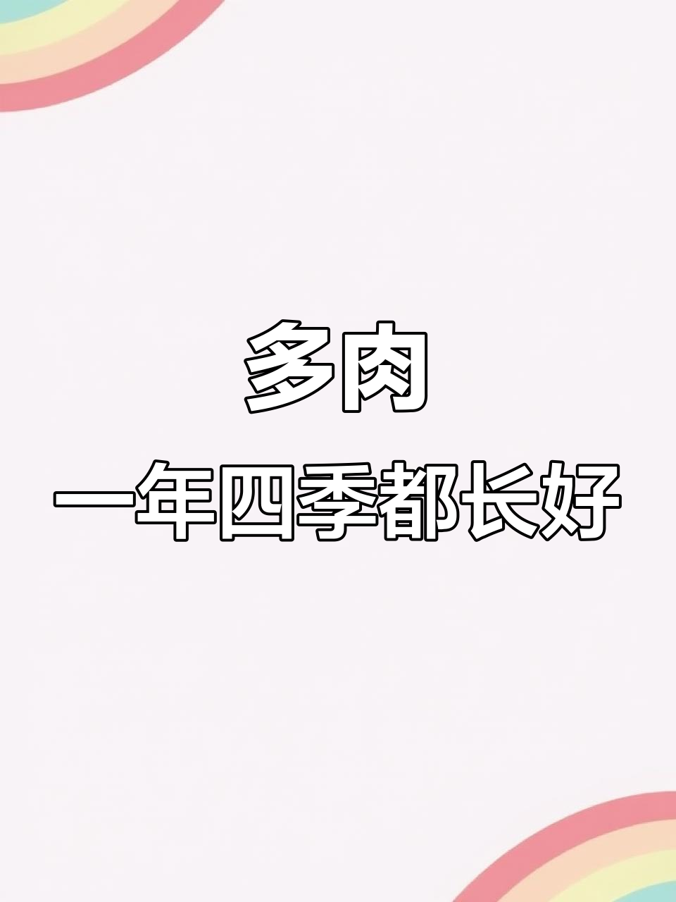 四季常绿的多肉植物种植技巧,轻松搞定