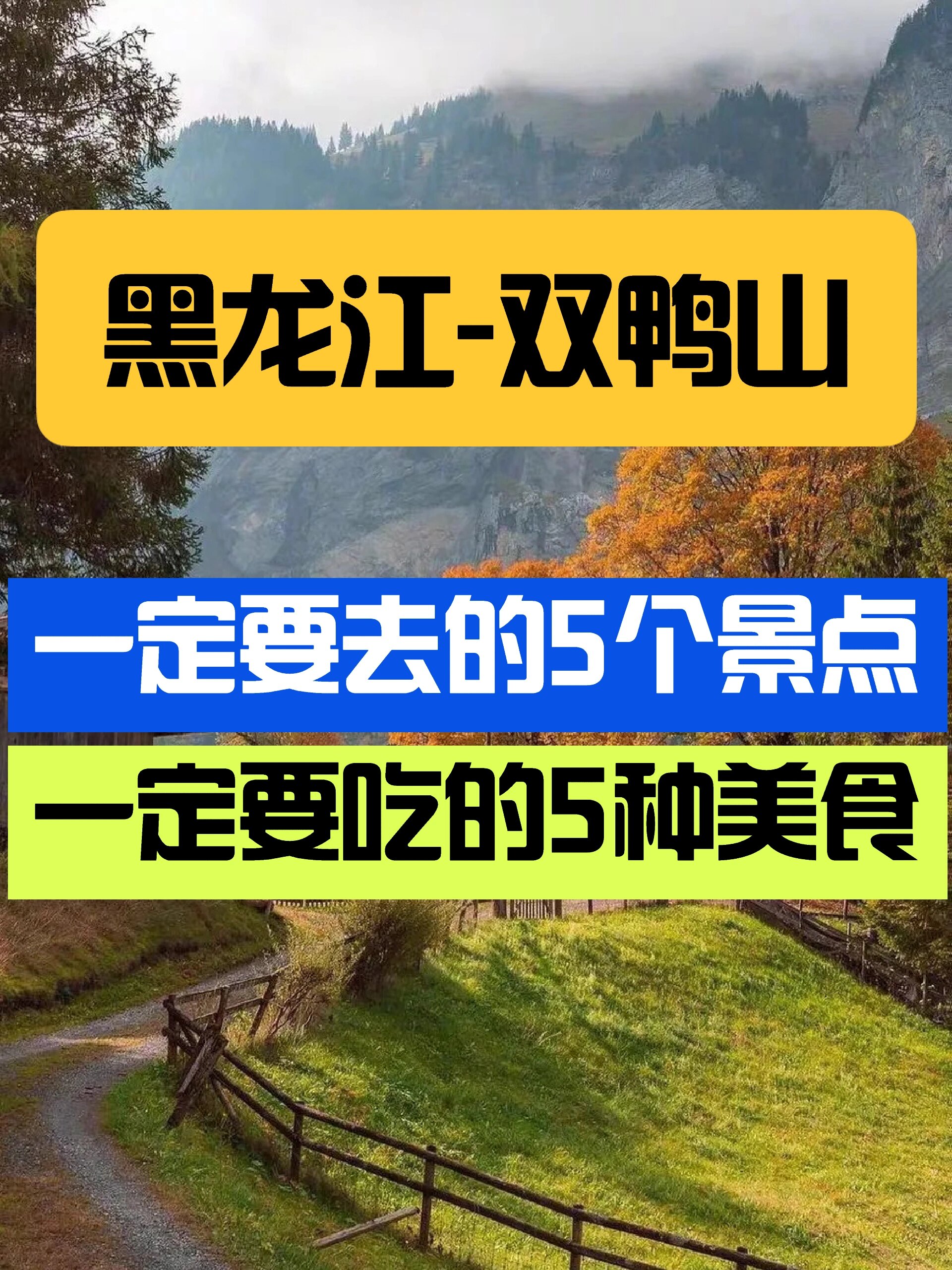 来我家乡玩一天|黑龙江双鸭山!我来啦!