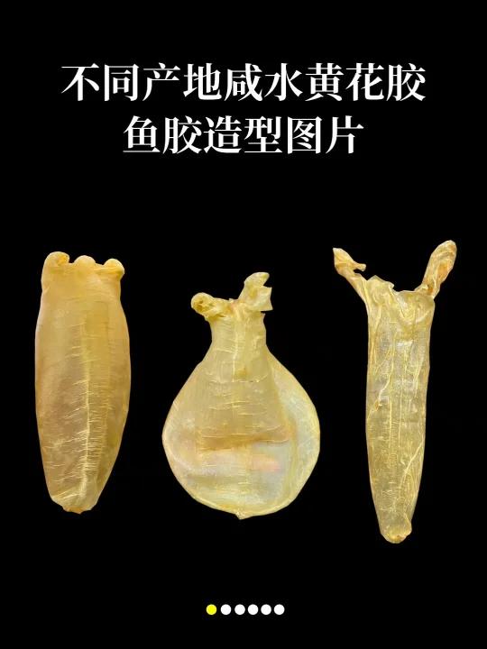 咸水黄花的各种造型