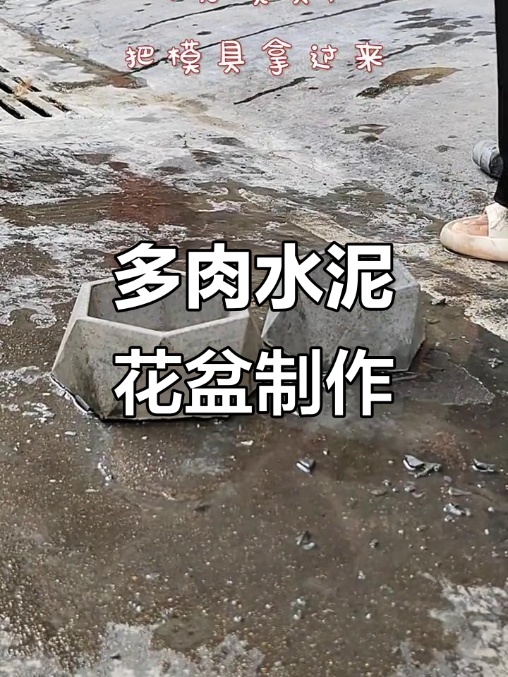 自制多肉水泥花盆,轻松打造个性化模具