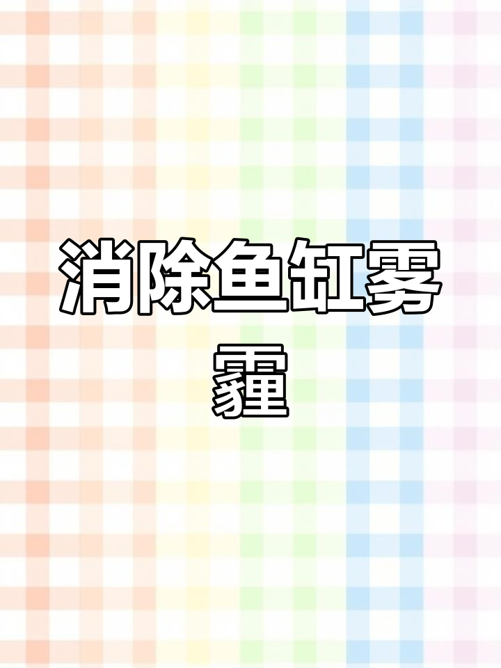 解决鱼缸水发白问题,快速恢复透明
