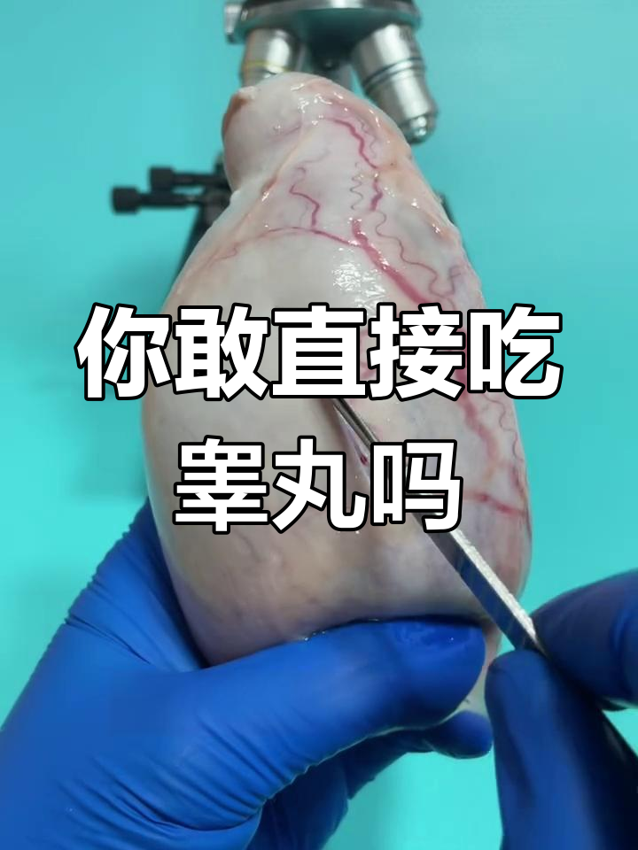 睾丸能生吃?显微镜下揭秘真相
