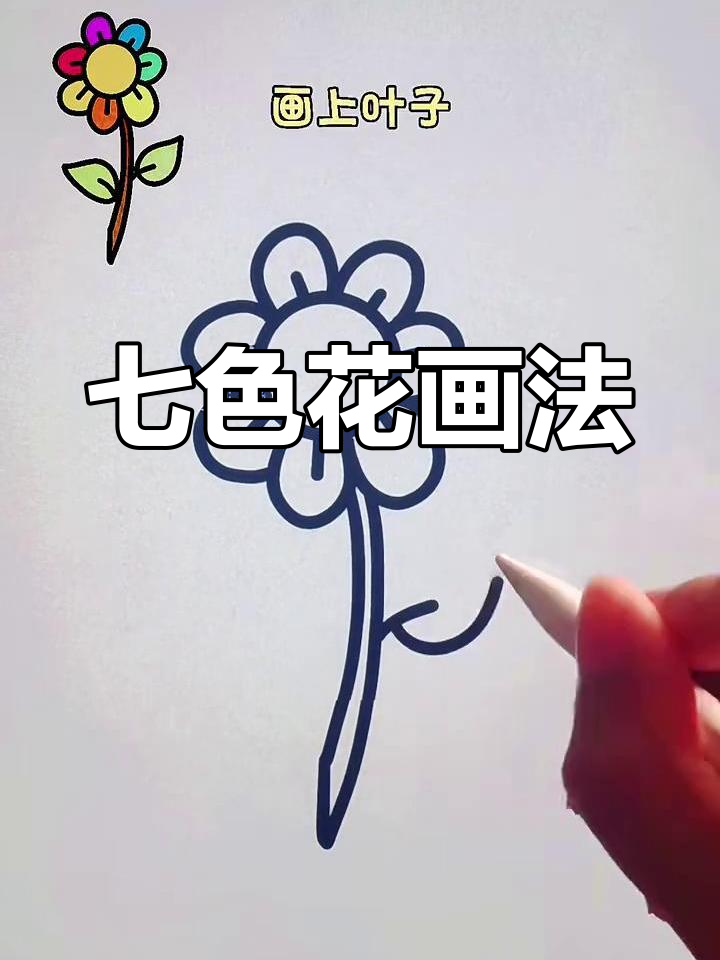七色花简笔画教程,轻松画出美丽花朵