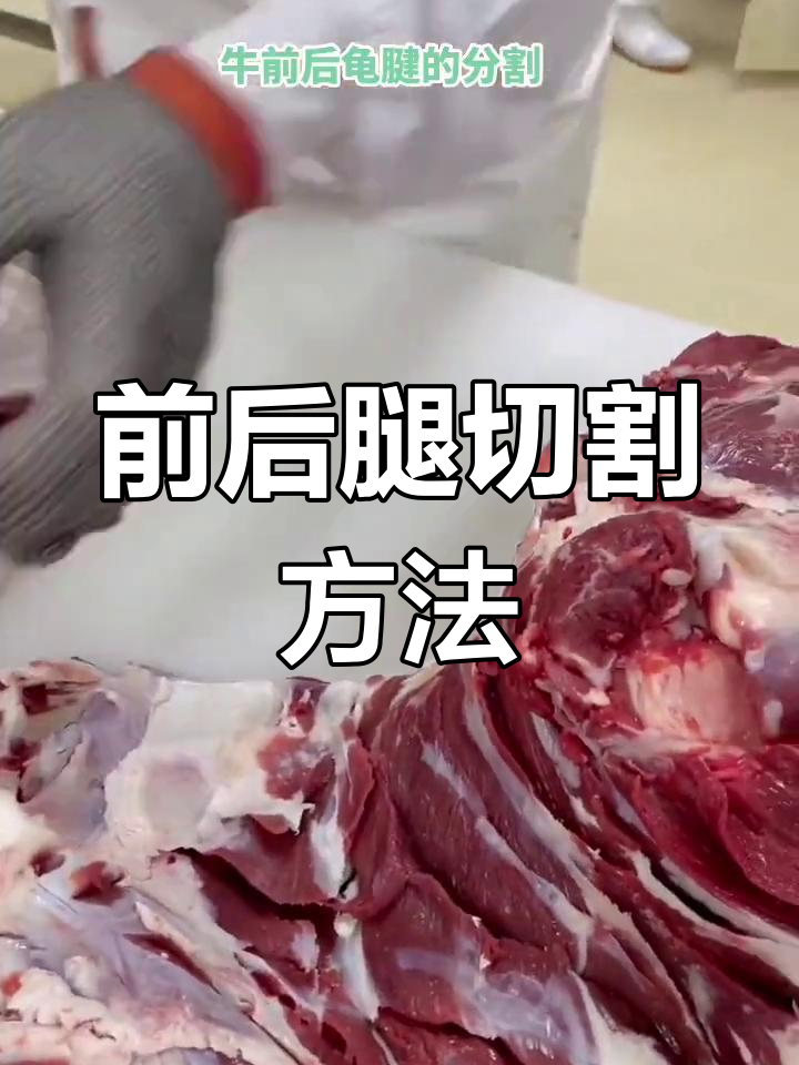牛前腿与后腿的分割技巧