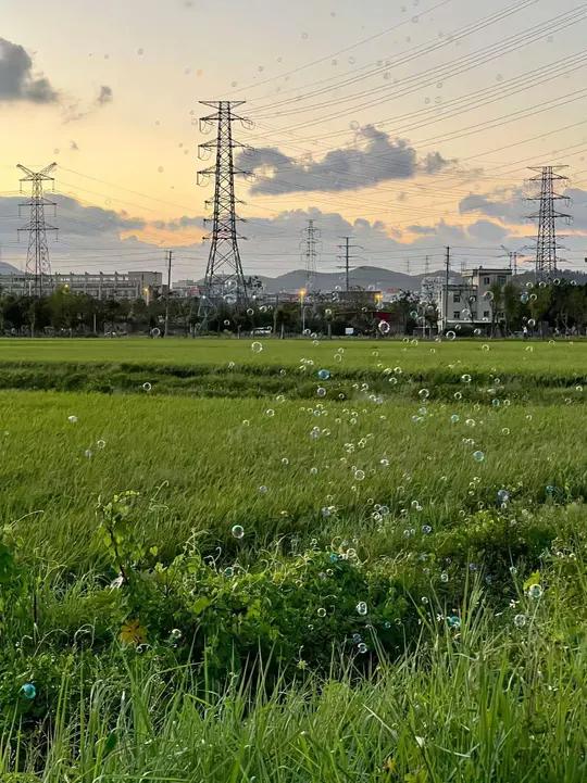 林散养土鸡蛋营养健康正宗的土鸡蛋到手50枚!真的太划算了!刷到赶紧冲!鸡蛋 快来一起尝个鲜
