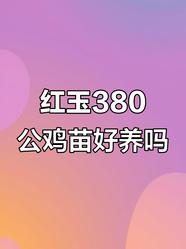 湖南省郴州市脱温红玉380鸡苗,长势快肉质鲜美