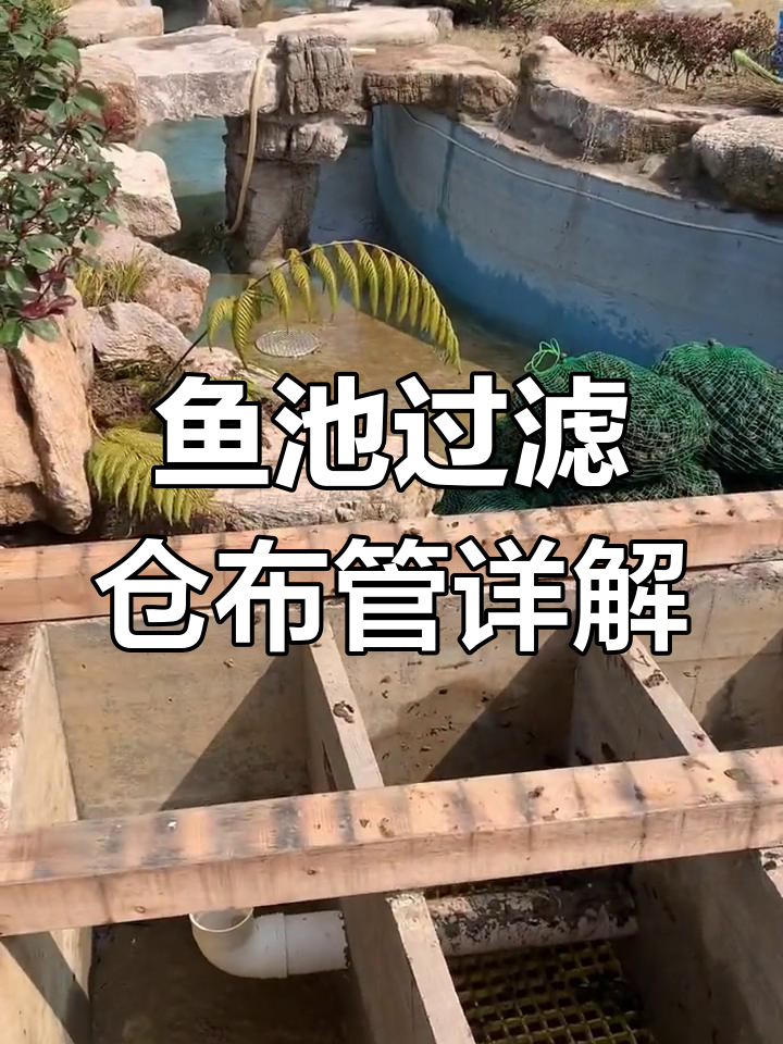 鱼池过滤系统揭秘:管道布局与排污原理全解析