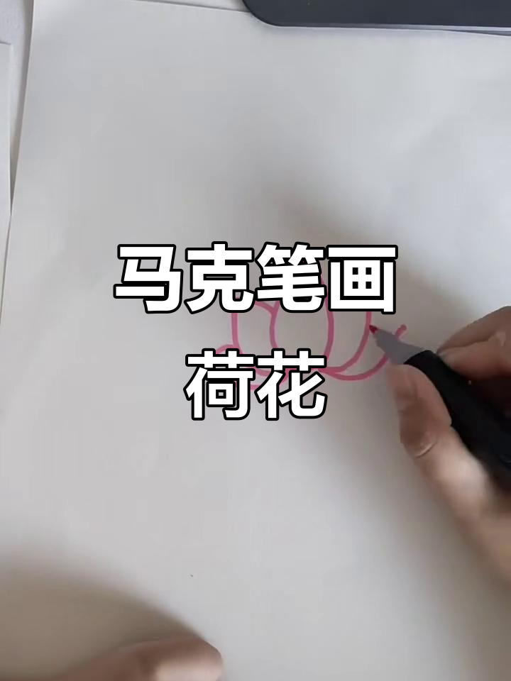 用马克笔轻松画出荷花,简单又好看