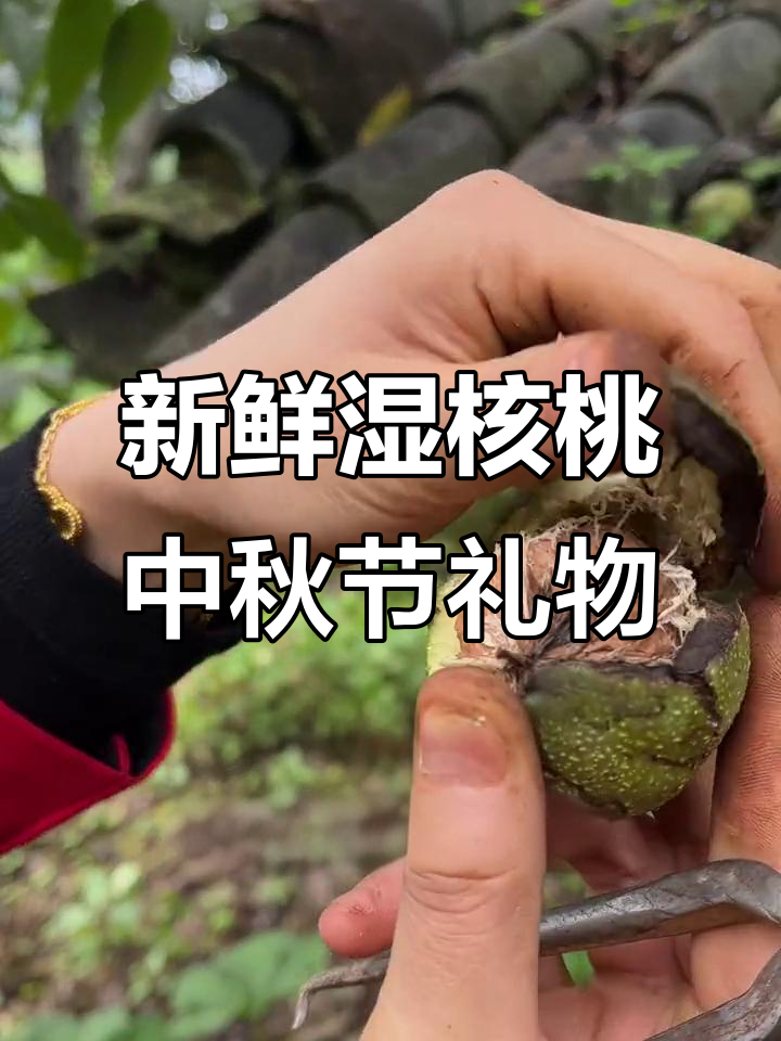 云南特产湿核桃,皮薄肉厚鲜甜脆嫩,中秋送礼佳选