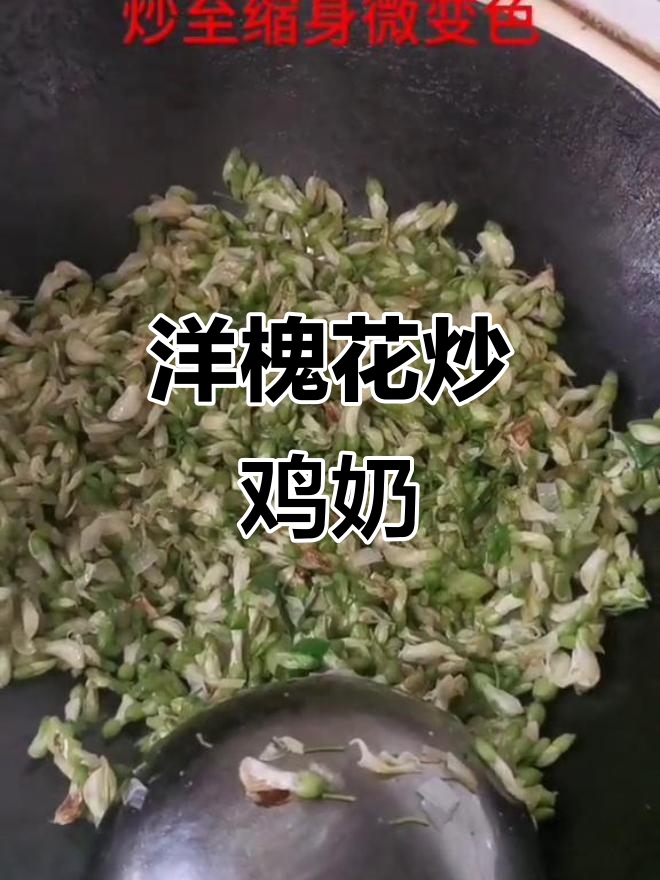 洋槐花炒鸡蛋,香气扑鼻的农家美味