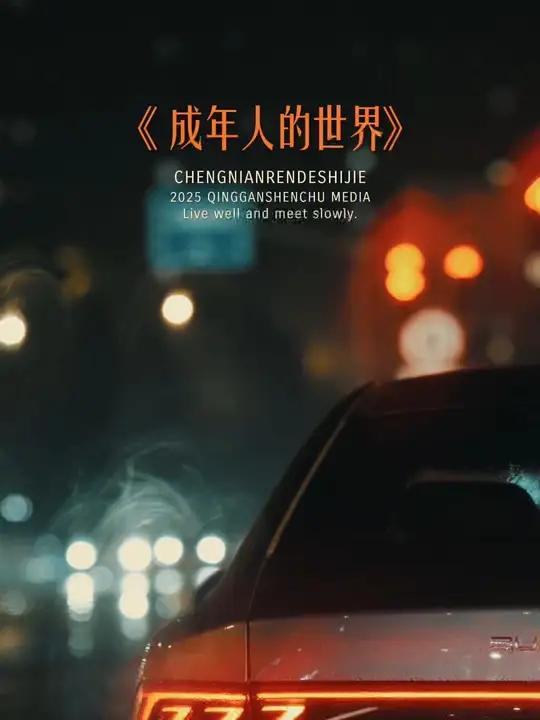 “成年人的世界各有各的难言之隐,各有各的心事,有人放在了酒里,有人放在了音乐里,有人放在了