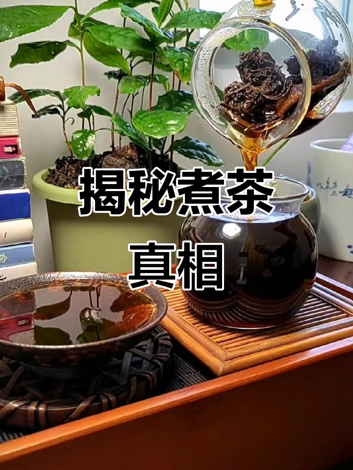 煮茶,揭开真相,你喝的茶能否经得起考验?