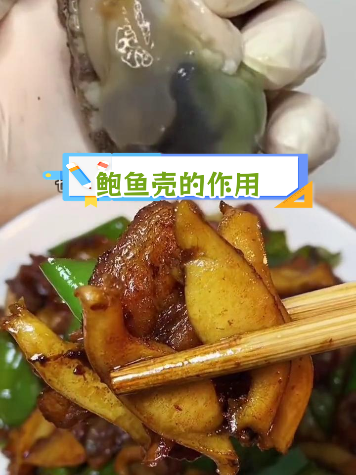 鲍鱼壳的神奇结构与功能