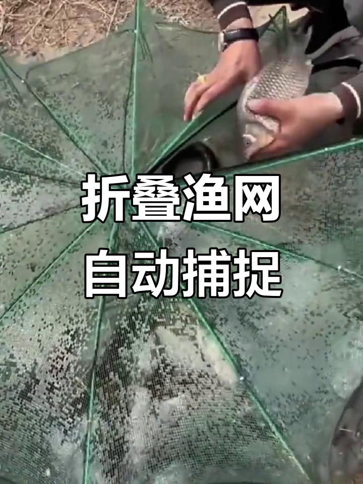 自动折叠捕鱼网,轻松捞虾抓王八