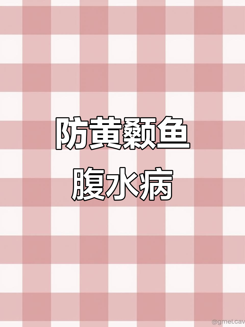 黄颡鱼大肚子病防治全攻略,水质管理、饲料选择关键技巧