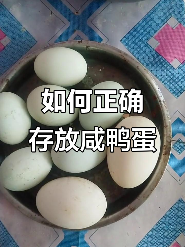 咸鸭蛋和鹅蛋的保鲜技巧,轻松保存美味不流失
