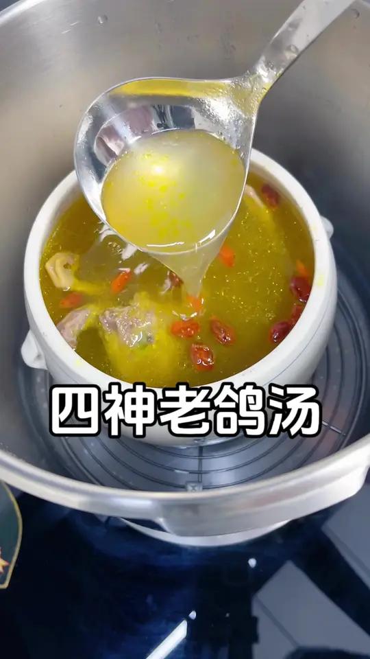 入冬成功,炖个老鸽汤补充营养,汤水清润甘甜,恢复体力又好喝 广东靓汤 炖鸽子汤 四神鸽子汤