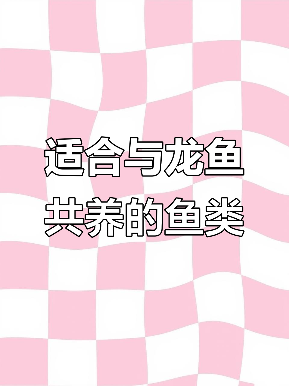 龙鱼混养6种最佳选择，轻松搭配不冲突