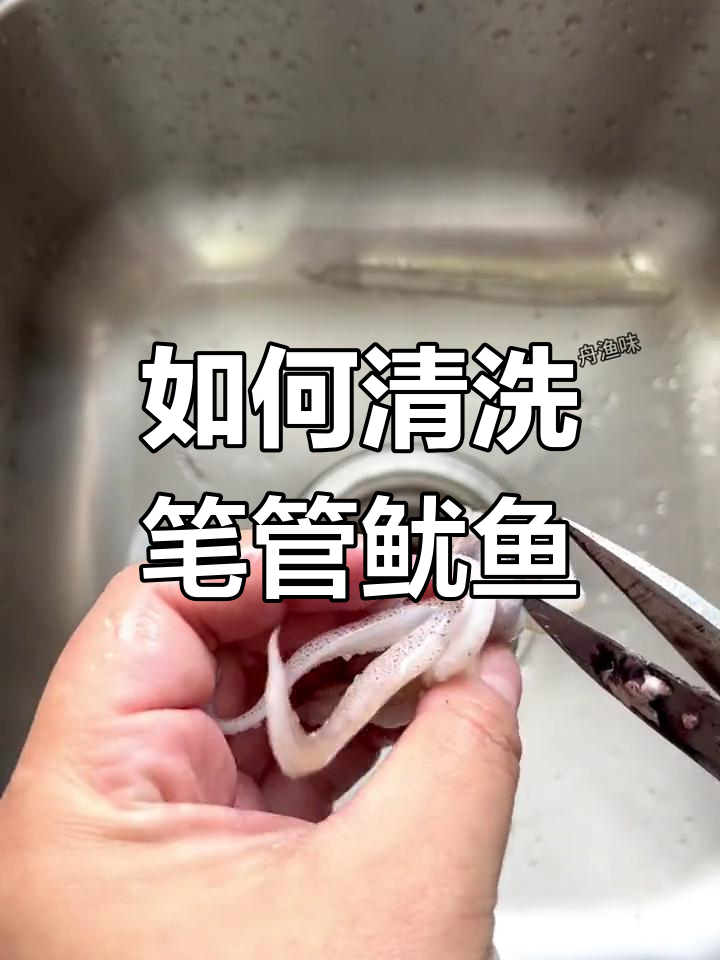 笔管鱿鱼清理全攻略,带膏带籽超鲜嫩