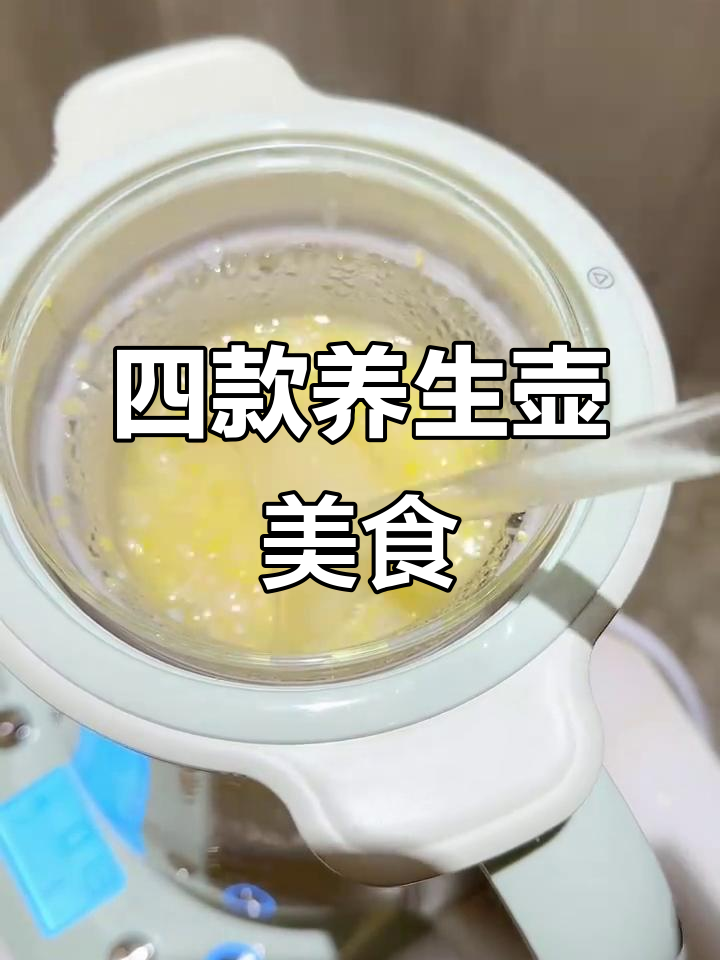 养生壶必学四款营养食谱,简单又美味