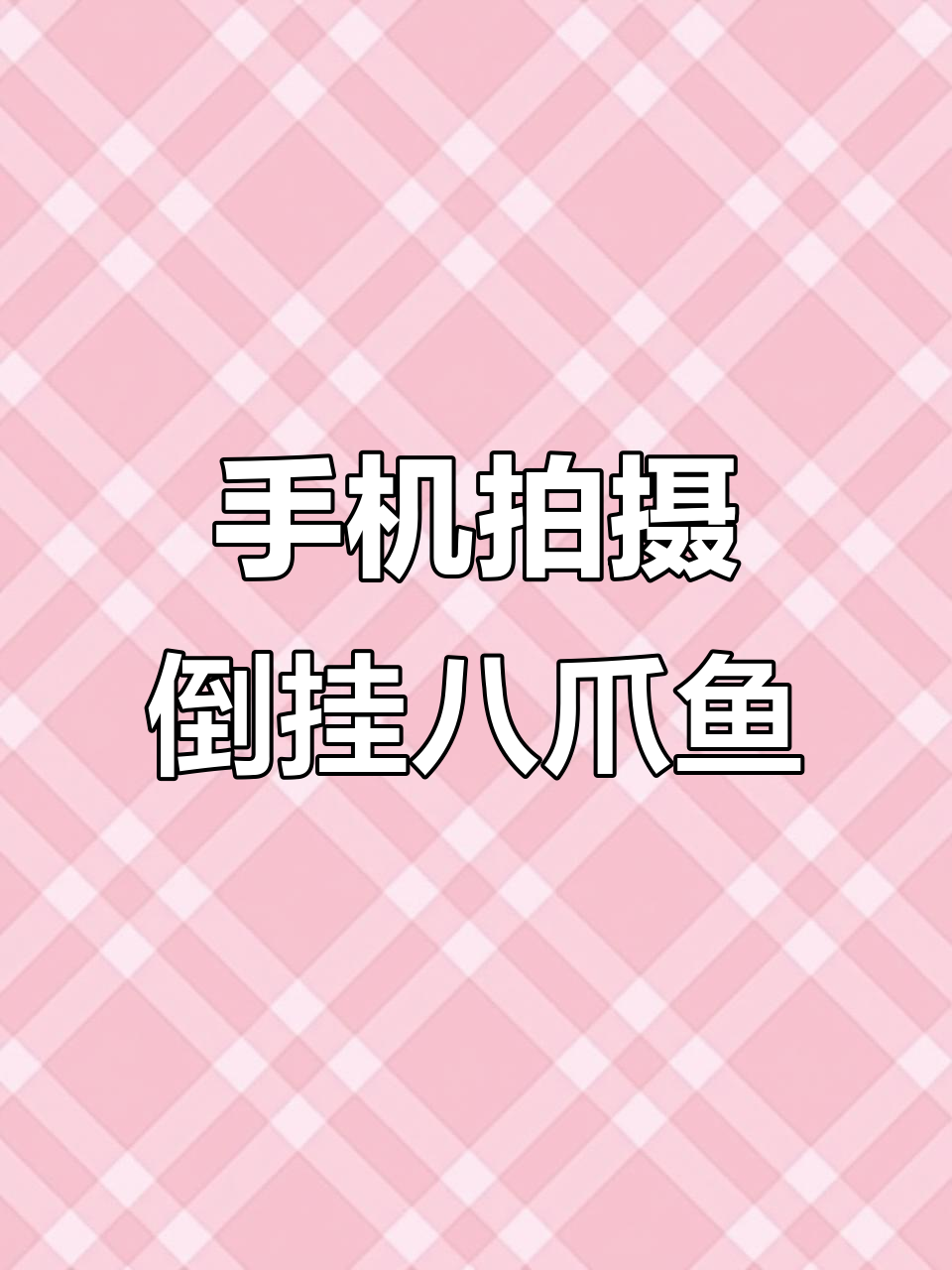 倒挂八爪鱼带你领略独特风景,手机摄影创意短片