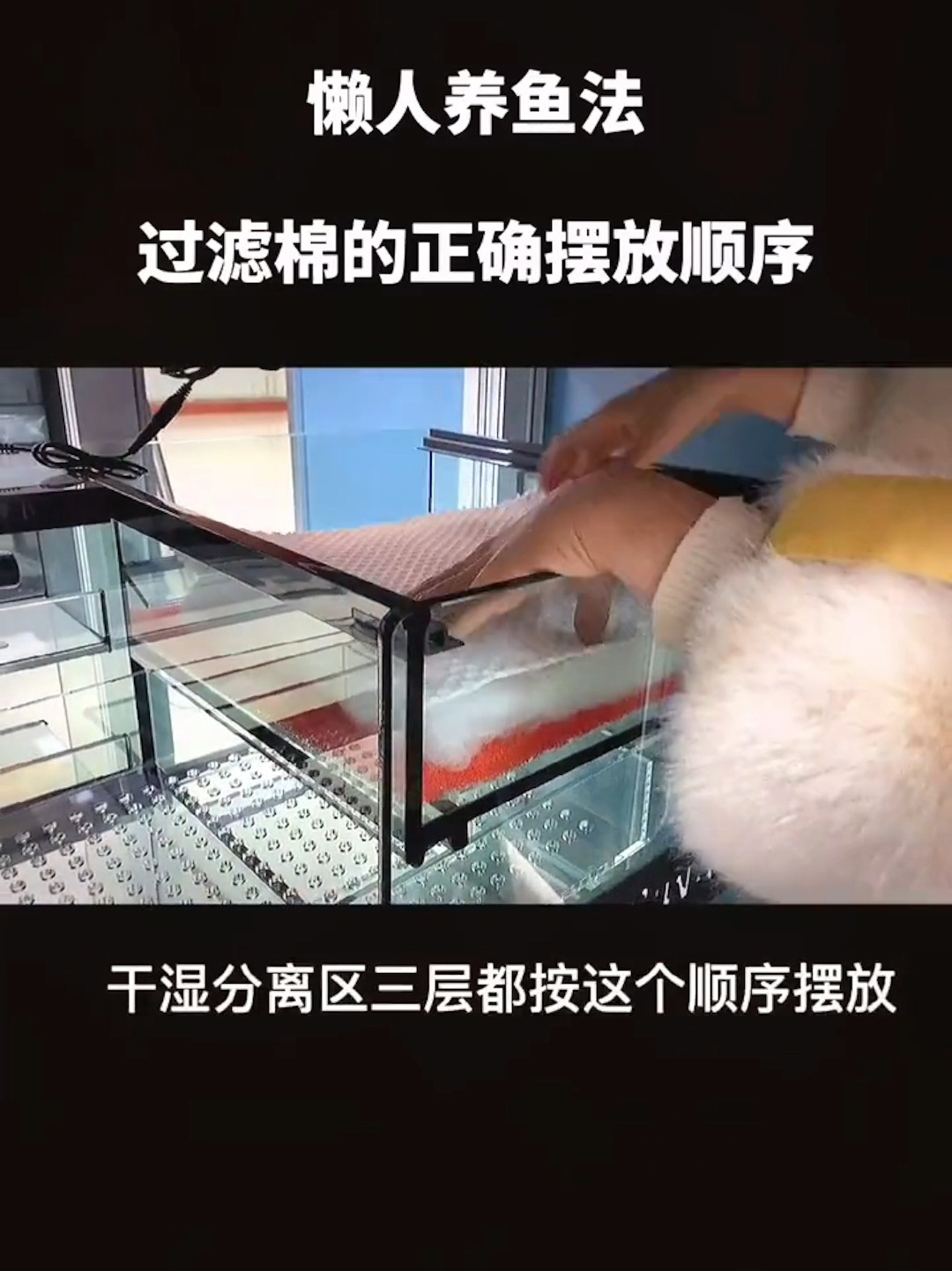 鱼缸过滤棉的使用顺序