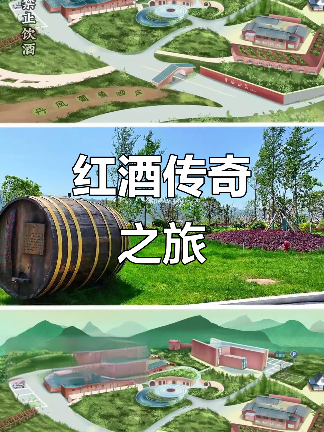 橡木桶见证百年红酒,丹凤酒庄的传奇之地