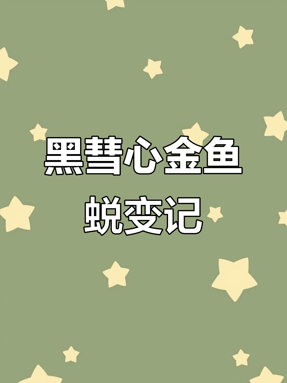 从小不点到大缸霸,黑彗星金鱼的成长之路