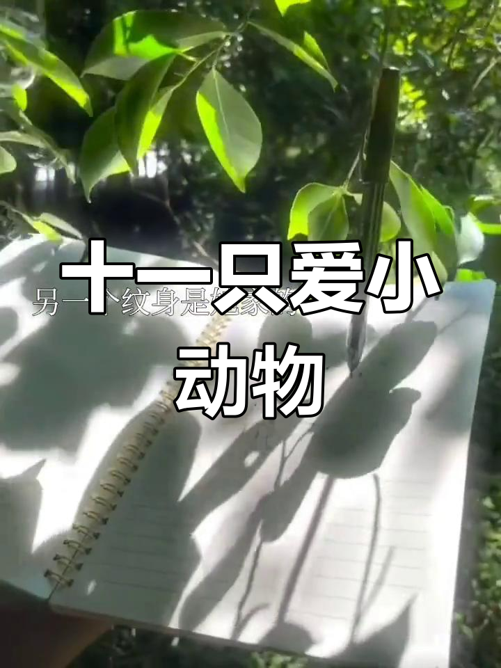 十一的爱心纹身与小狗小猫,她每天都在闪闪发光