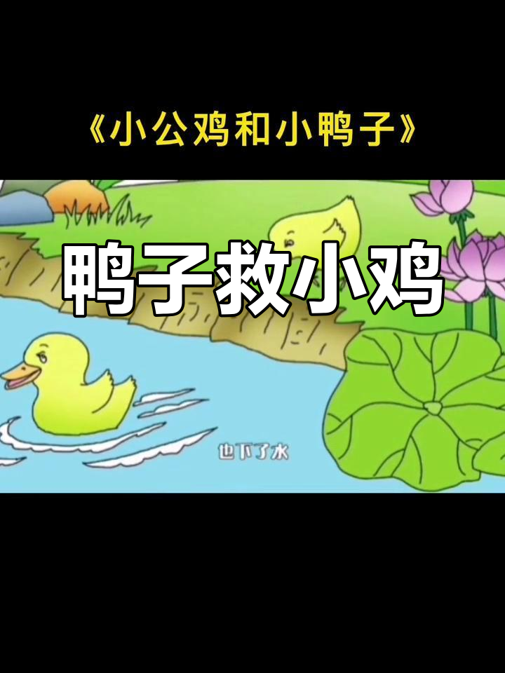 小公鸡与小鸭子的冒险故事