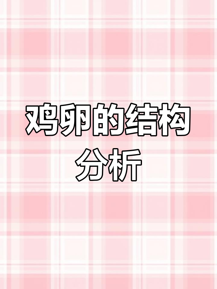 鸡卵结构解析:气孔与营养分布