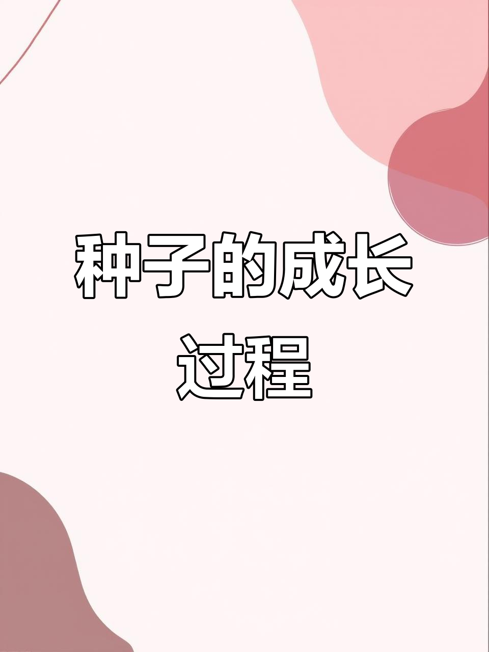 2023年揭秘:种子结构如何形成及植物发育奥秘